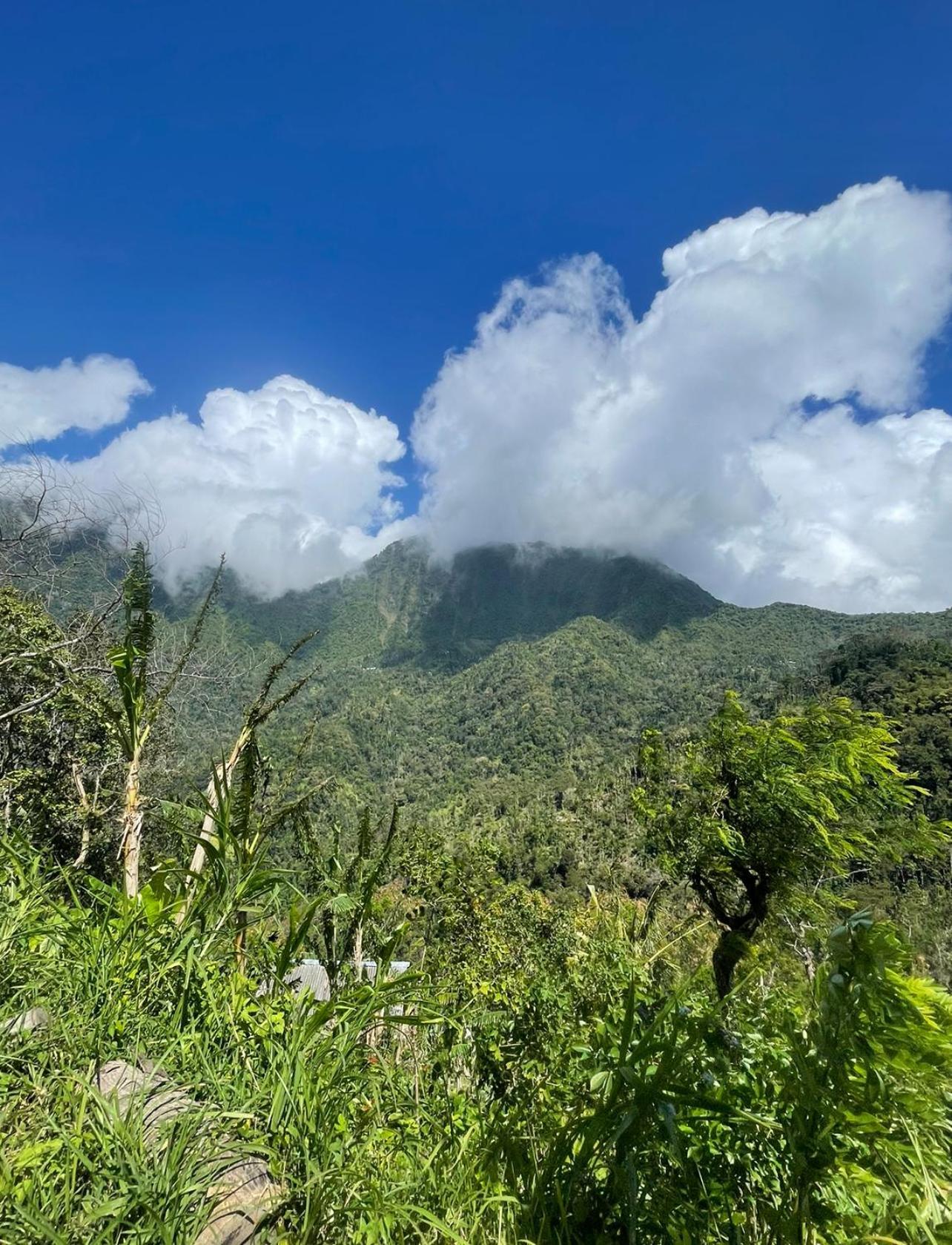 Tropical Habitat Bali Villa Amed Kültér fotó