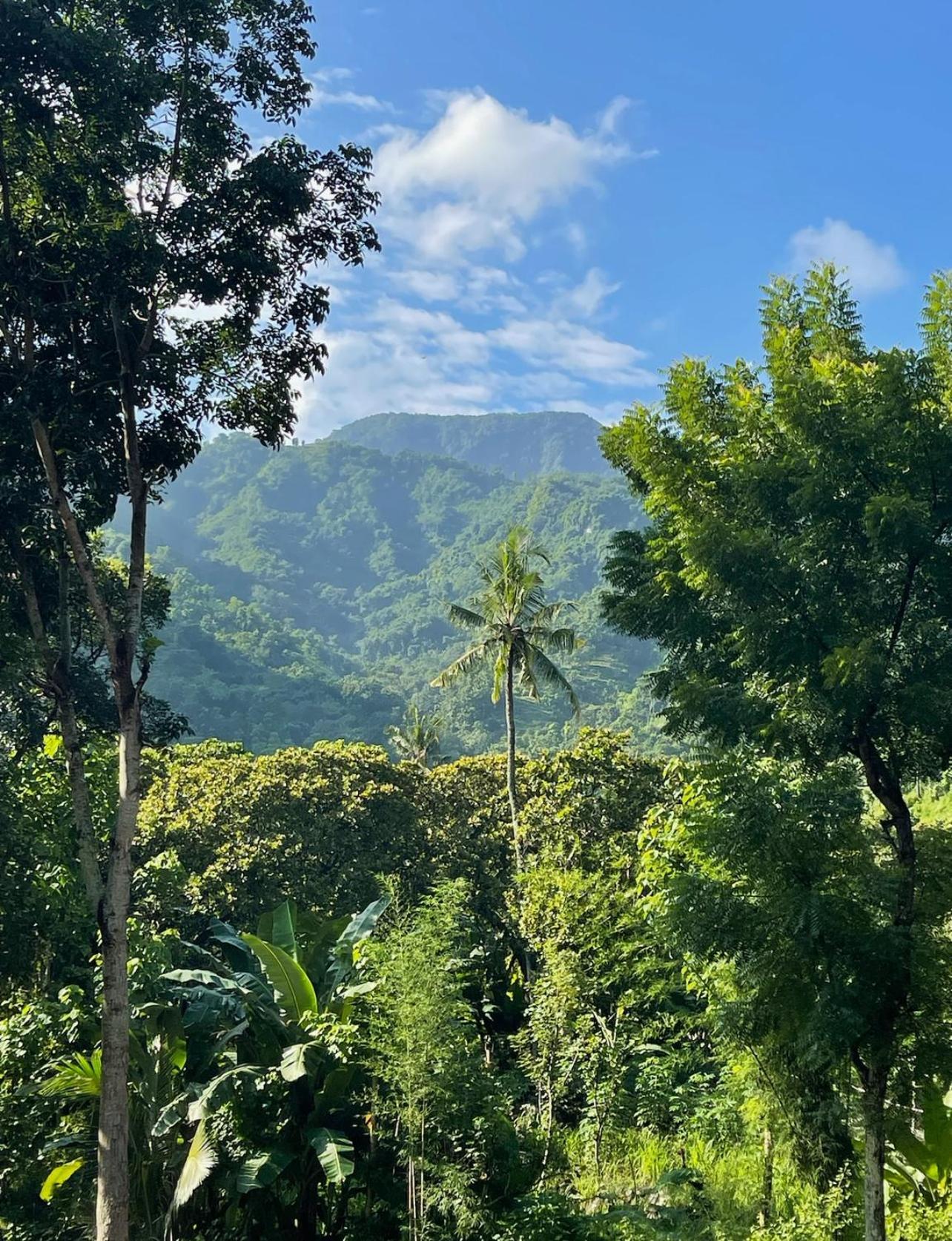 Tropical Habitat Bali Villa Amed Kültér fotó