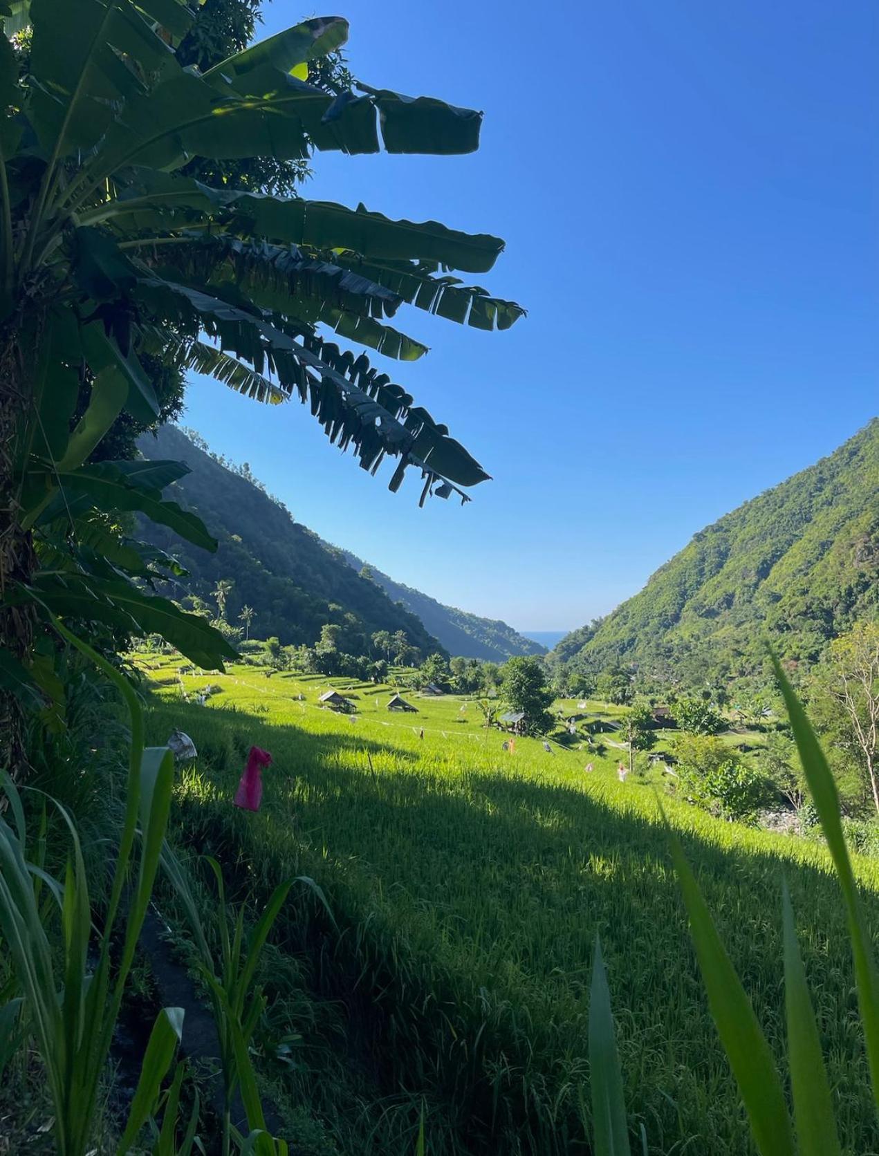 Tropical Habitat Bali Villa Amed Kültér fotó