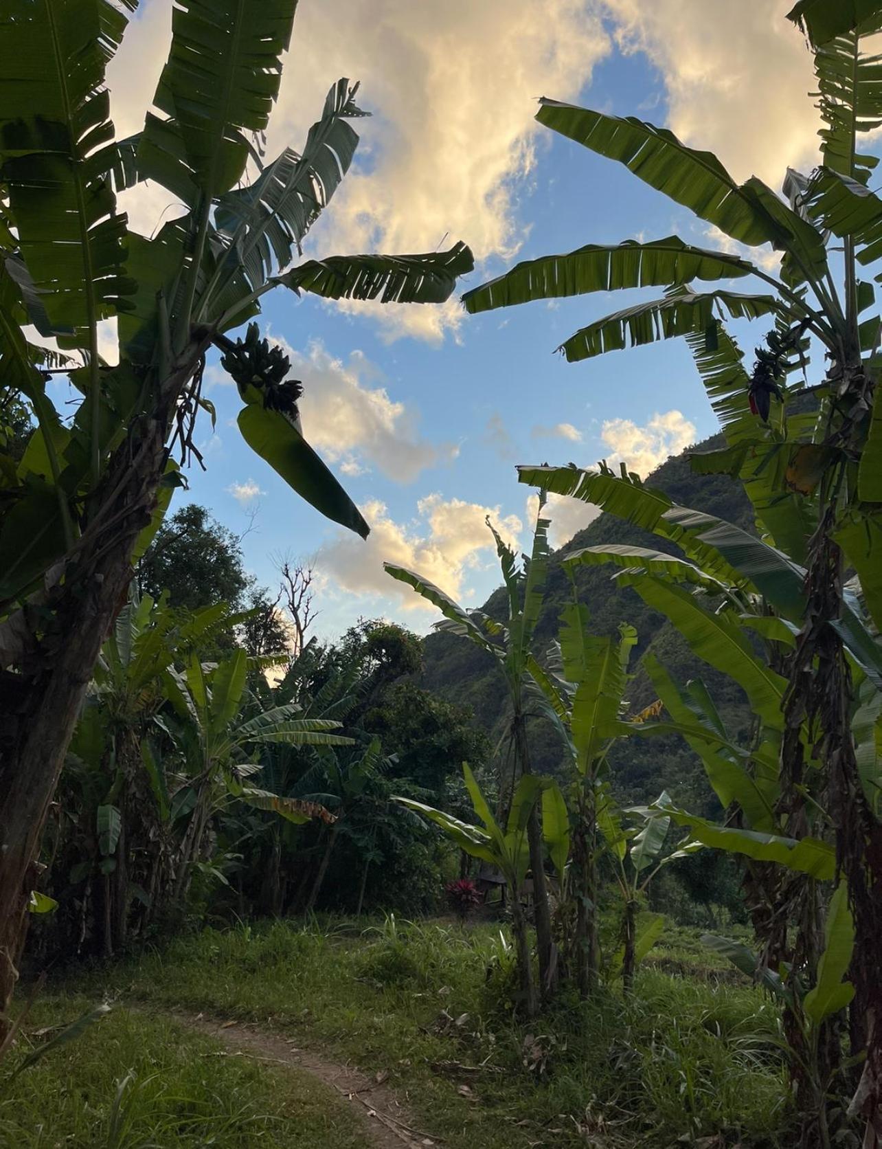 Tropical Habitat Bali Villa Amed Kültér fotó