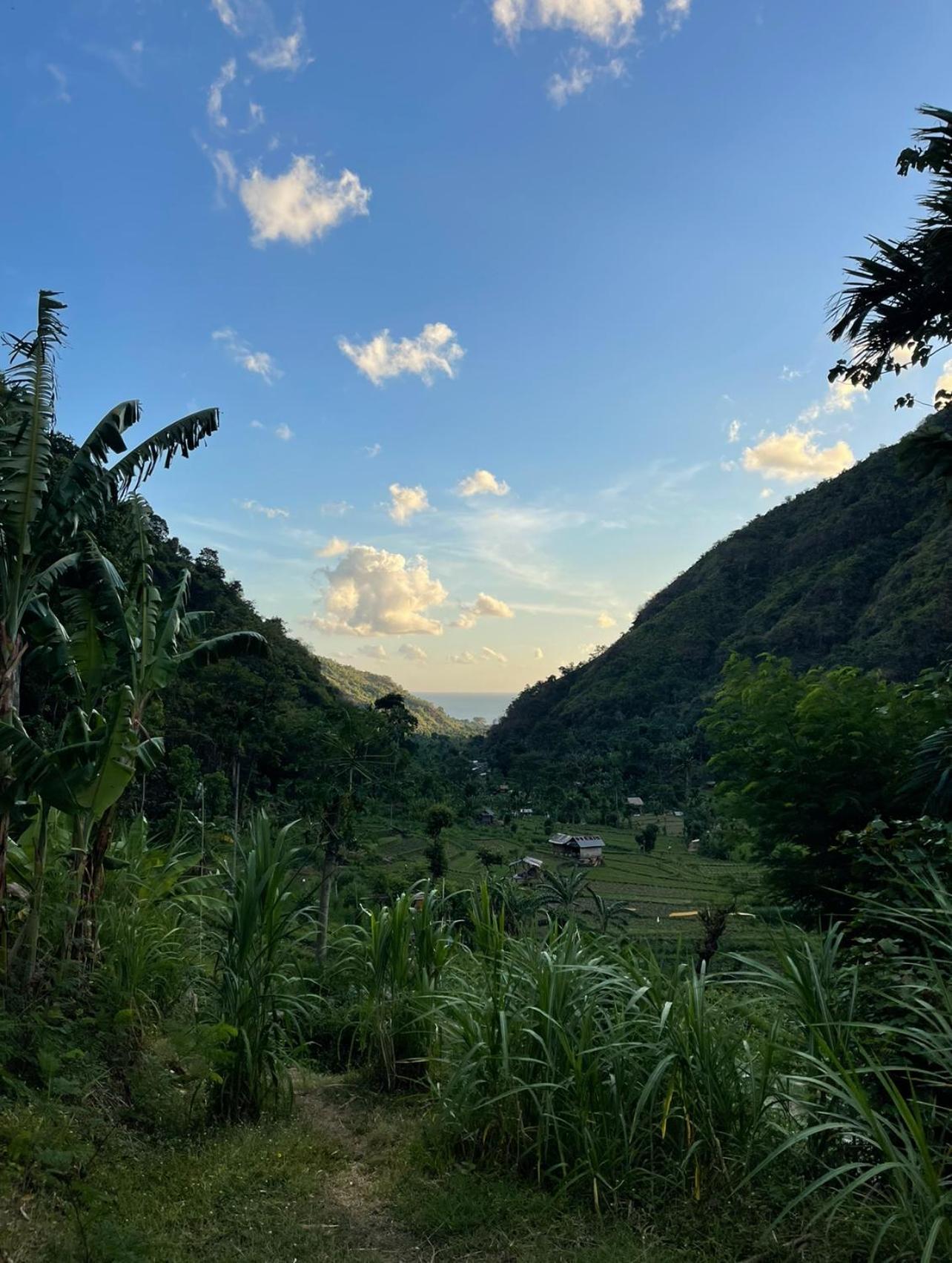 Tropical Habitat Bali Villa Amed Kültér fotó
