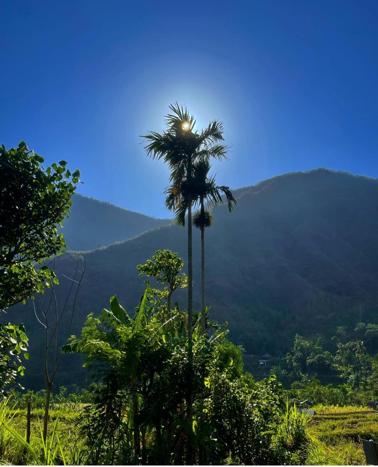 Tropical Habitat Bali Villa Amed Kültér fotó