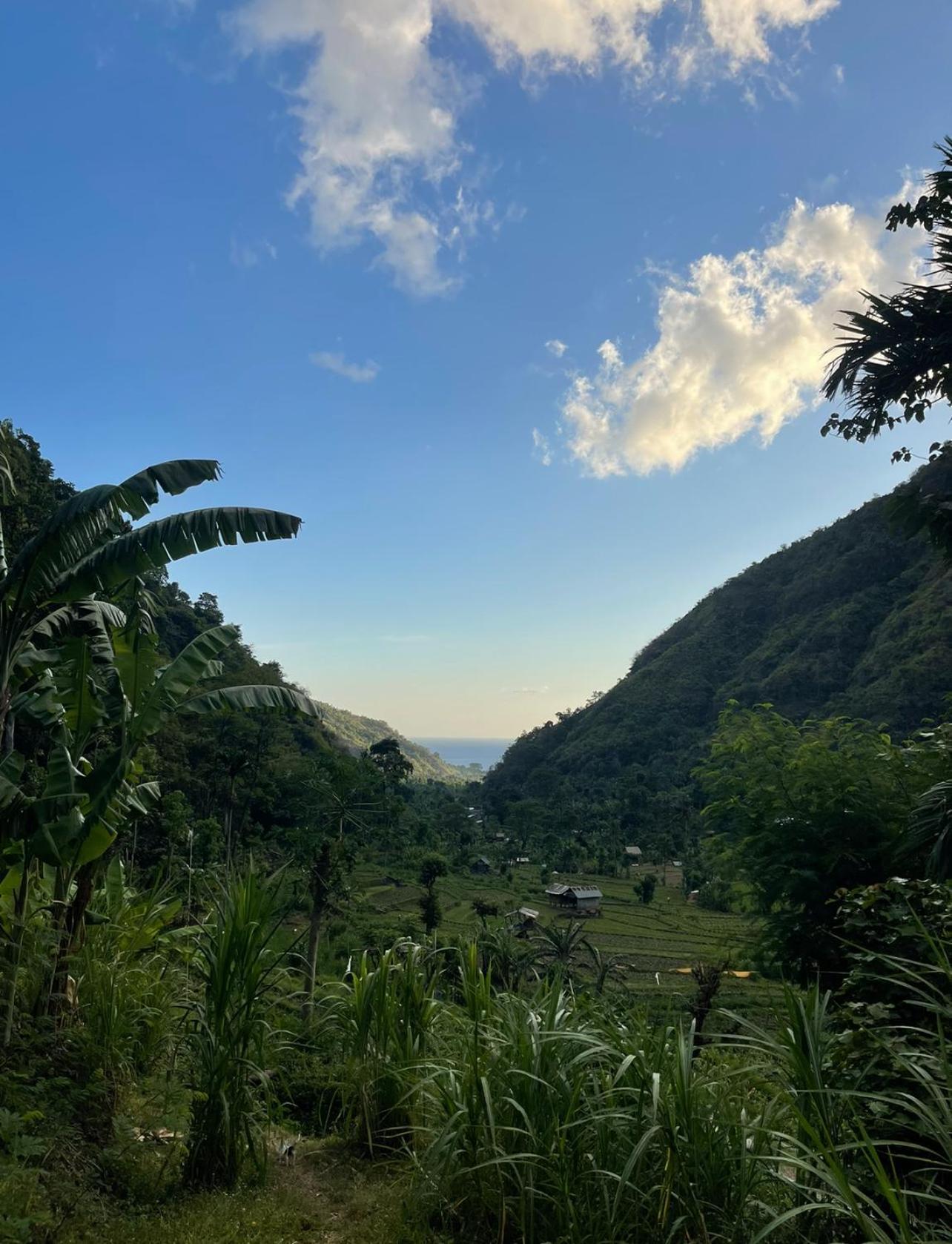 Tropical Habitat Bali Villa Amed Kültér fotó