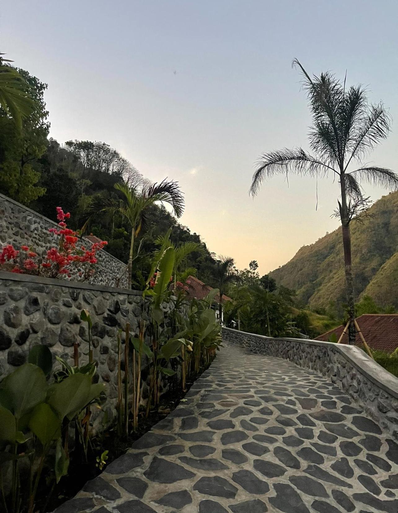 Tropical Habitat Bali Villa Amed Kültér fotó