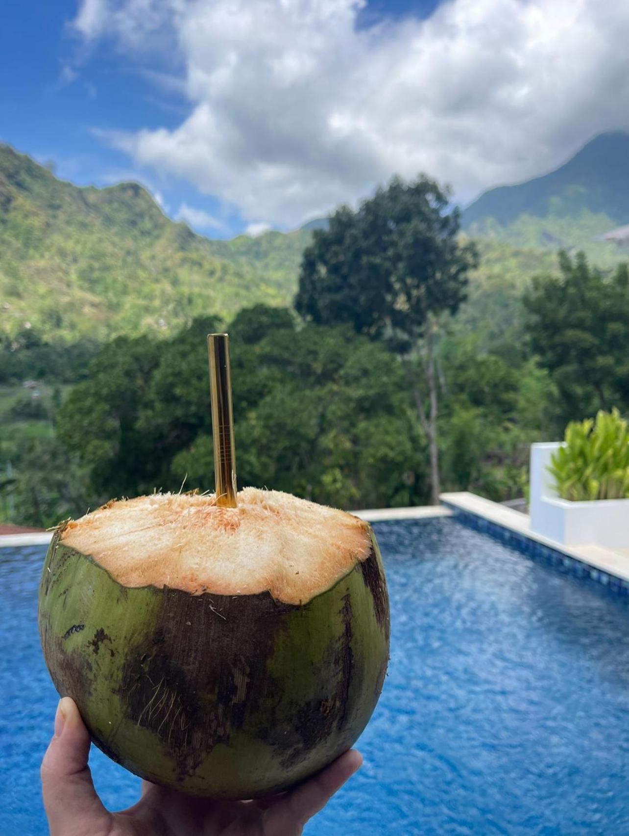 Tropical Habitat Bali Villa Amed Kültér fotó