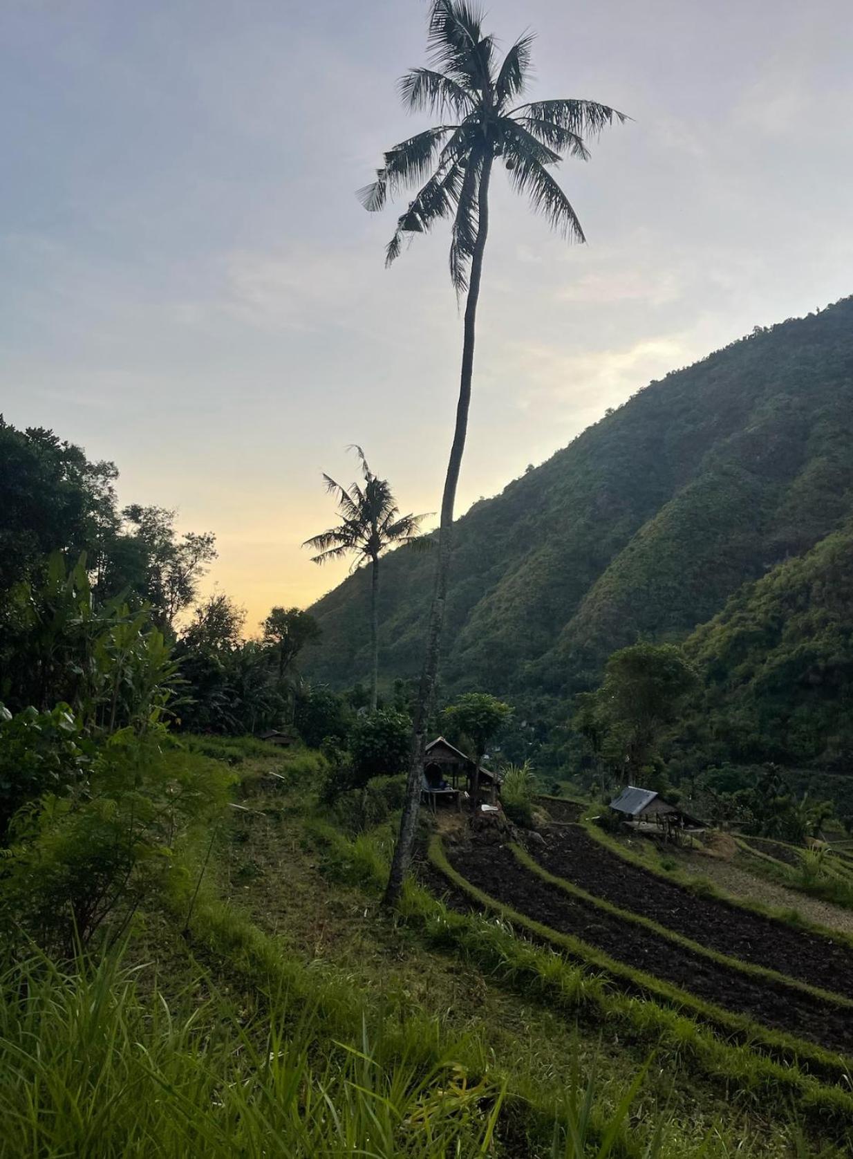 Tropical Habitat Bali Villa Amed Kültér fotó
