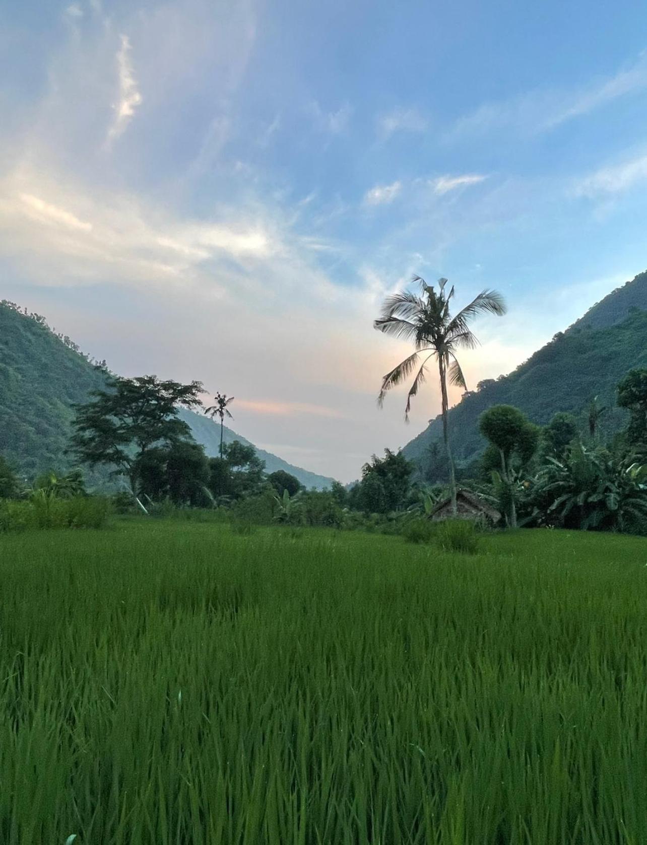 Tropical Habitat Bali Villa Amed Kültér fotó
